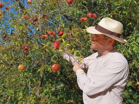 Worauf Sie als Käufer vor dem Kauf der Granatapfelsaft rabenhorst achten sollten